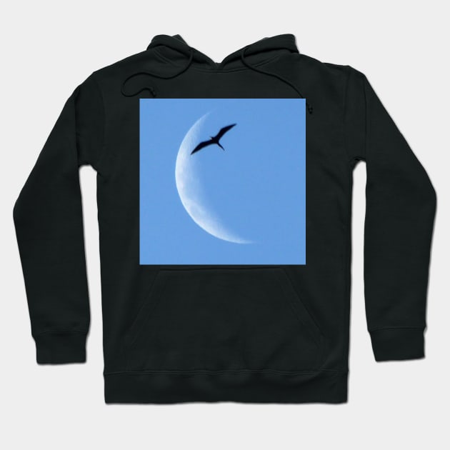 Toutching Crescent moon Hoodie by delcueto